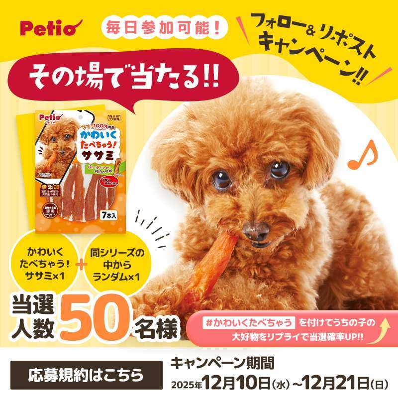 petio_official's tweet photo. ／
プレゼントキャンペーン
抽選で50名様に商品セットがその場で当たる！
＼
本日3日目

応募方法
① @petio_officialをフォロー
② この投稿を12/13 9:59までにRP
③当選者のみその場でDMが届く

ハッシュタグ【かわいくたべちゃう】をつけてうちの子の大好物をリプライで当選確率アップ🐾