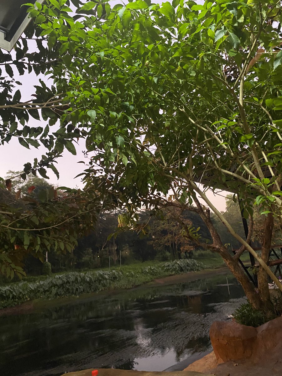 sara_wanisa tweet media