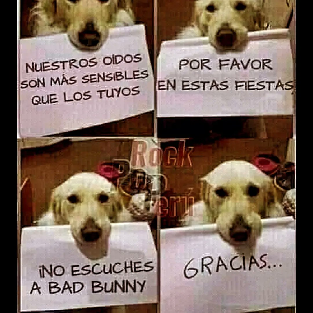 Recuerda.... ellos también son sensibles.