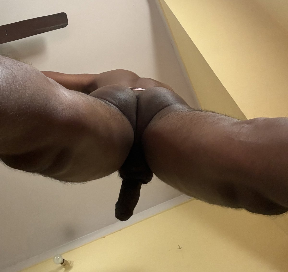 flexible _boy_tn tweet media