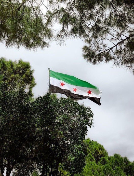_mzdanh's tweet image. 8 ديـسـمـبـر 💚
في مثل هذا اليوم، أشرق فجر الحرية على أرض سوريا، انتصرت سوريا، وكتب التاريخ فصلاً جديداً من عزّها وصمودها، جعلها الله آمنةً مطمئنةً، مزدهرةً، وشامخة، ونسأل الله أن يعوّض شعبها بالخير الغزير، وأن يجمع شملهم على عز ومعزَّة.