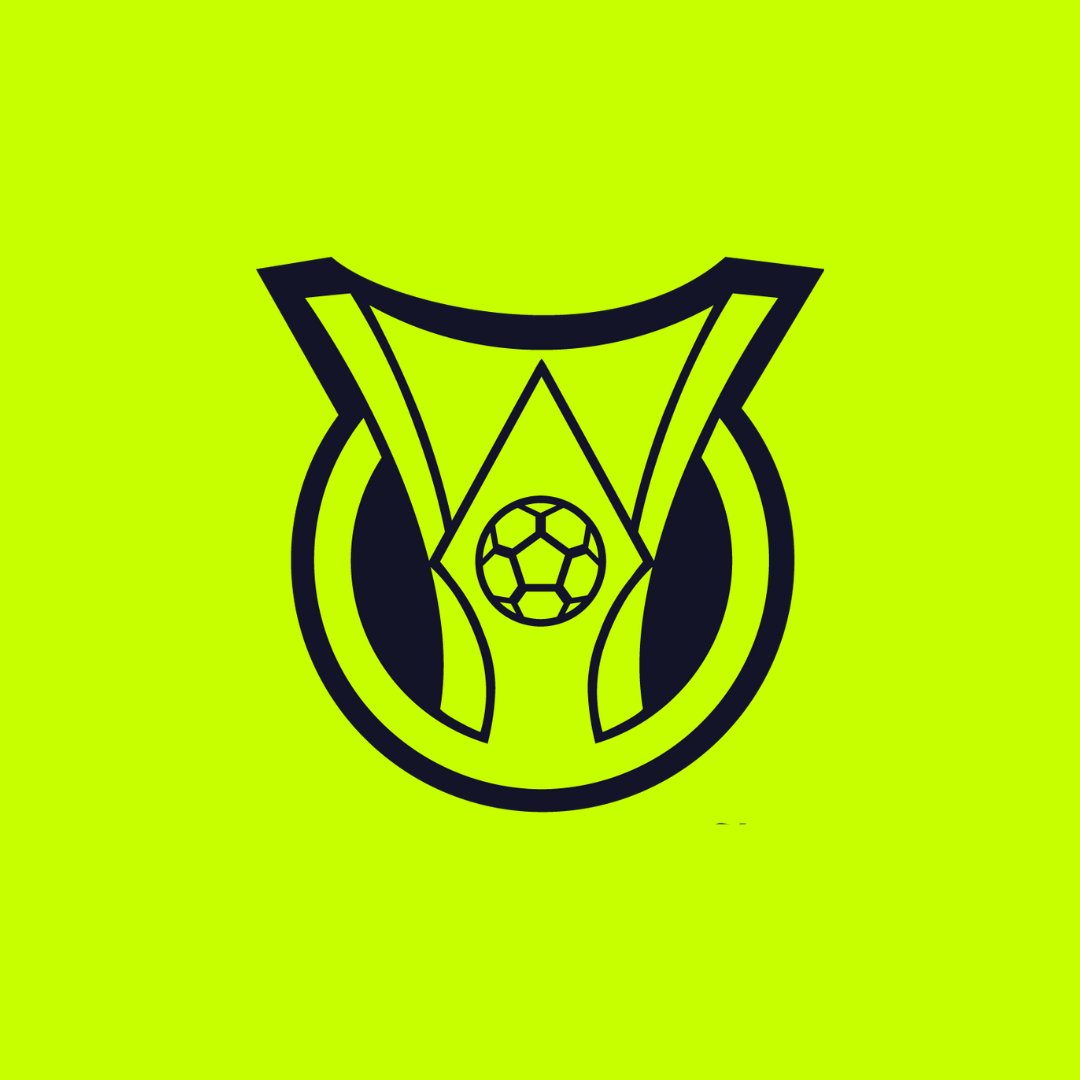 Evolução da posição do Flamengo no Brasileirão na era dos pontos corridos com 20 clubes;

11° (2006)
3° (2007)
5° (2008)
1° (2009)
14° (2010)
4° (2011)
11° (2012)
16° (2013)
10° (2014)
12° (2015)
3° (2016)
6° (2017)
2° (2018)
1° (2019)
1° (2020)
2° (2021)
5° (2022)
4° (2023)
3°