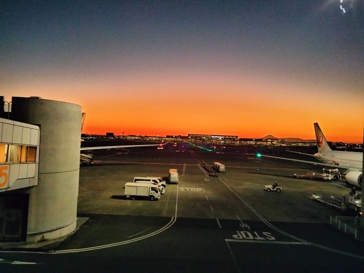 週末
羽田空港
JALサクララウンジ

昨日、夕暮れの景色が綺麗でした🌇

今週末（札幌）
再来週末（東京）
年末年始の帰省（関西）もそう

毎回JALの翼にお世話になってます。

“移動”なる簡易な言葉で済まされない

航空業界って、人間と人間の相当なあれこれを紡ぐ生業だよね。

いつも感謝🙇‍♀️

#JAL