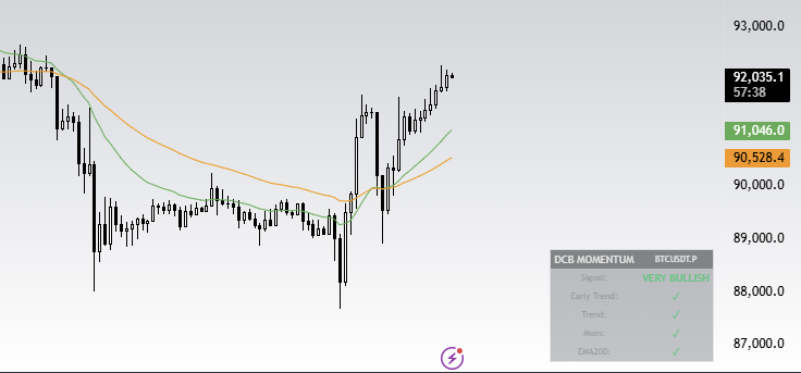 Dead Cat Bounce tweet media