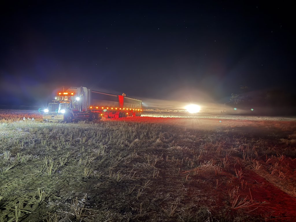 Beck Wolfe tweet media