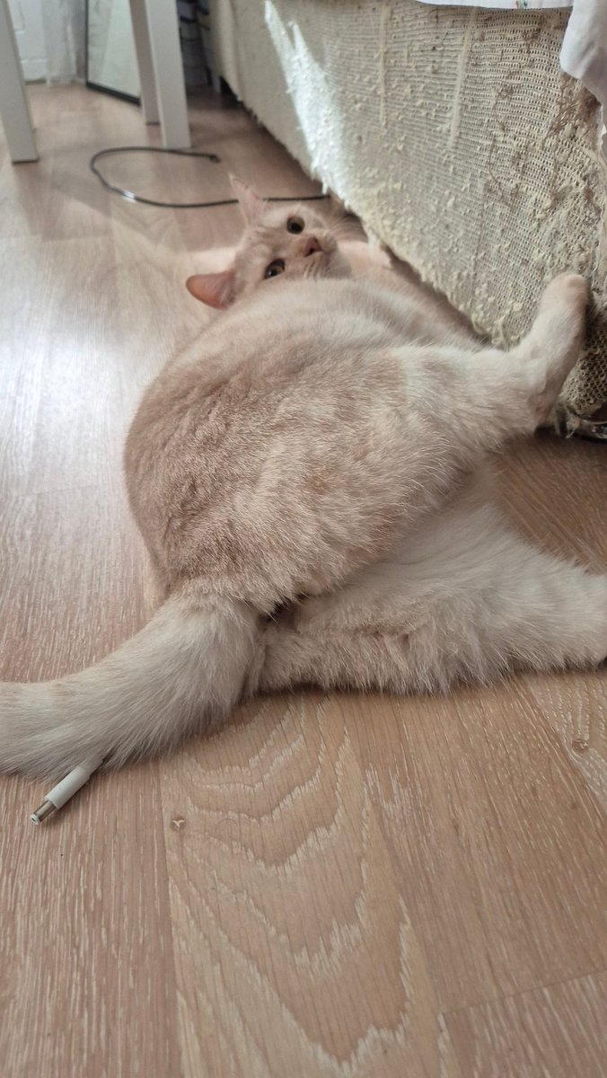 Yine deprem oldu yaaa