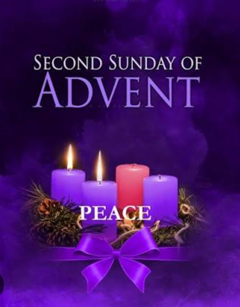 Dominique Darmanin-Sturgeon tweet media