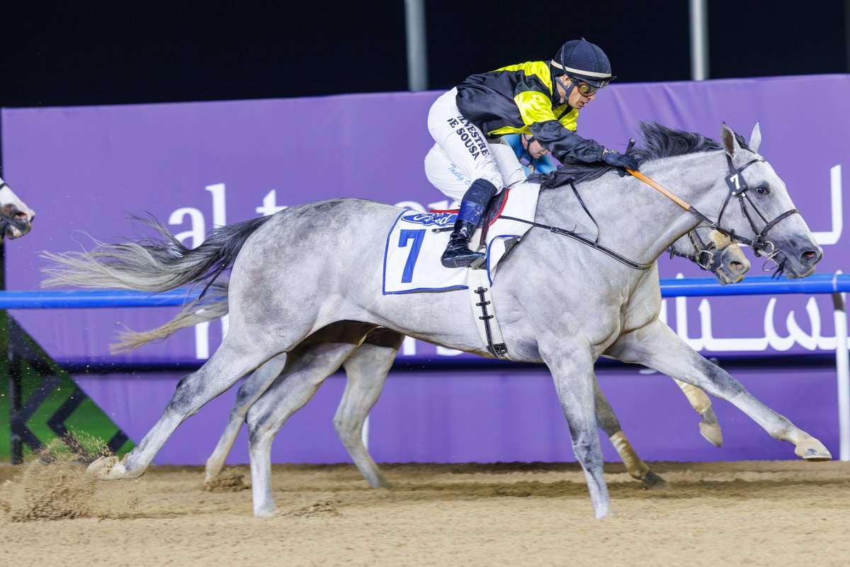 Handicap rating revisions after Friday's #DubaiCarnival meeting 👇

🐎 Six Speed - 90
🐎 Lino Padrino - 89
🐎 Welcome Dream ⬆️ 6 to 88
🐎 Norato ⬆️6 to 91
🐎 Telemark ⬆️3 to 96
🐎 El Nasseeb ⬆️1 to 109 (dirt)
🐎 Book Review ⬆️4 to 87 
🐎 Honest Moon ⬇️2 to 95