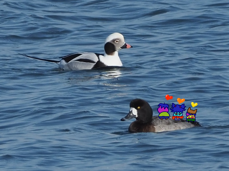 富士鷹なすび (@nasubifujitaka) / Posts / X