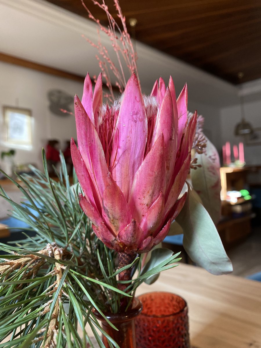 Sonia Zuccaro tweet media