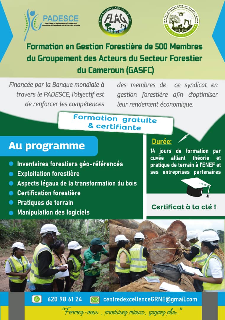 FLAG Cameroon tweet media