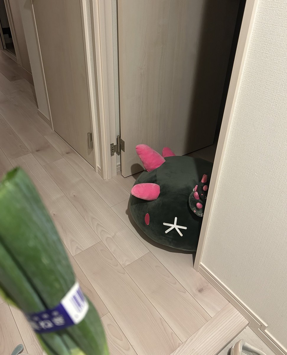 めちゃくちゃ疲れて帰ってきたら、お迎えしてくれてました😭