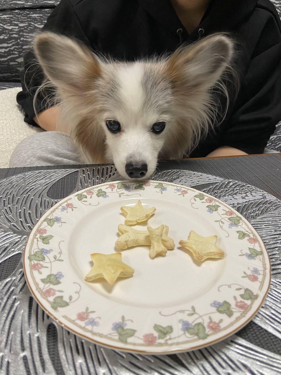 うにまる。（ちゃんねる。） (@unimaru1031) / Posts / X