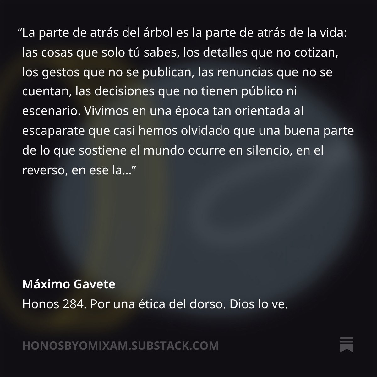 En la Honos de ayer escribía sobre adornar el árbol de Navidad y, bueno, otras cosas…