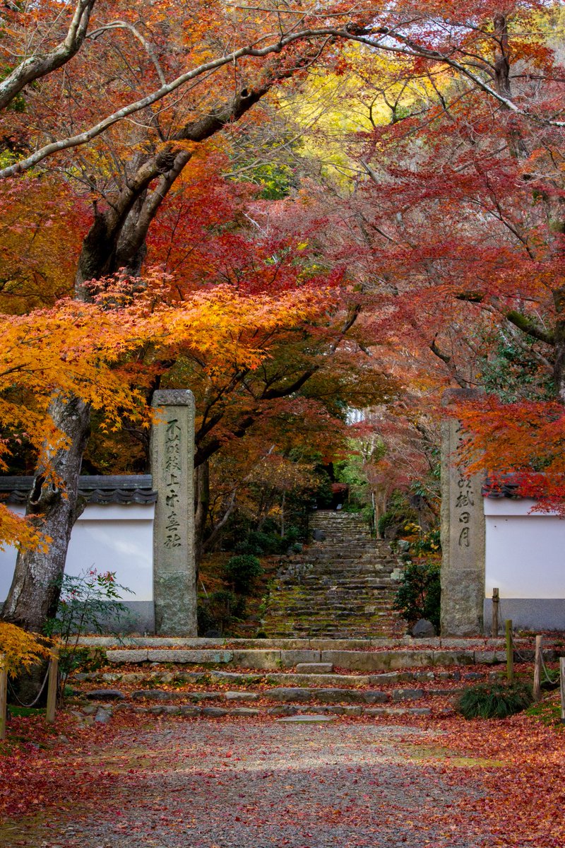 秋の特別公開〜12月14日まで🍁
