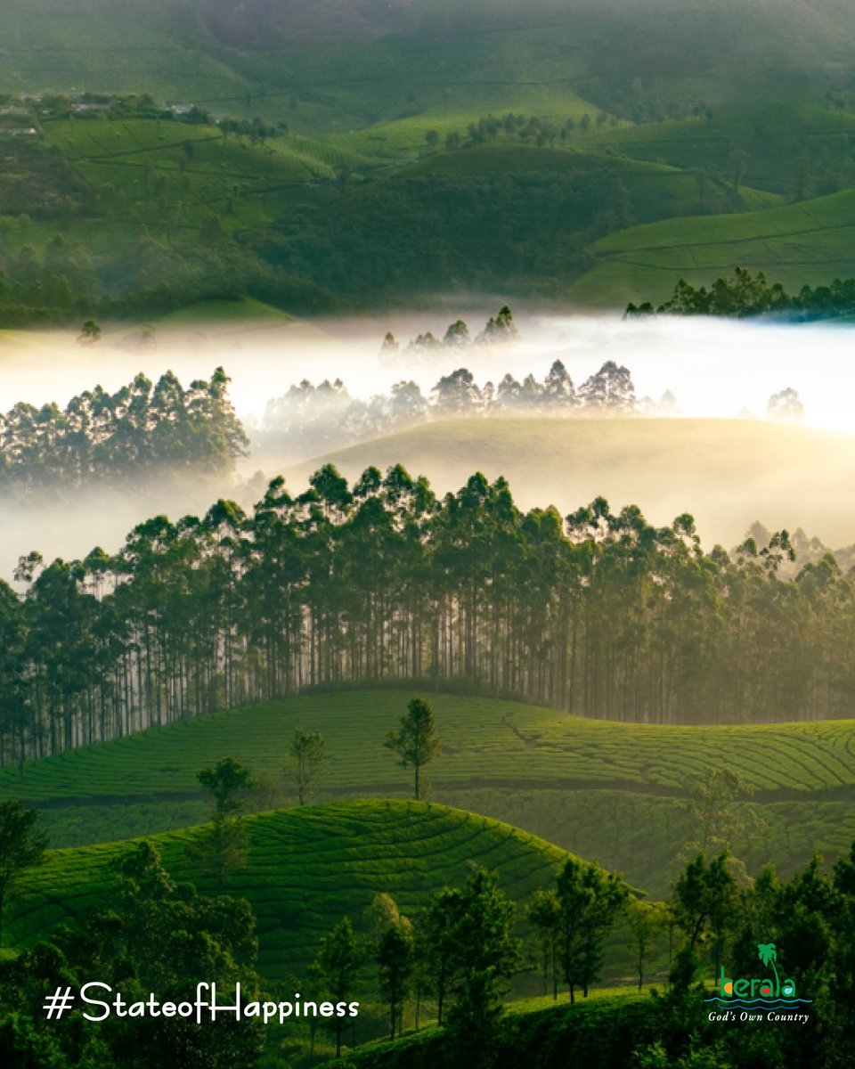 KeralaTourism's tweet image. This Christmas, find your chill in Munnar's mist.

#Munnar #ChristmasInKerala #StateOfHappiness #KeralaTourism