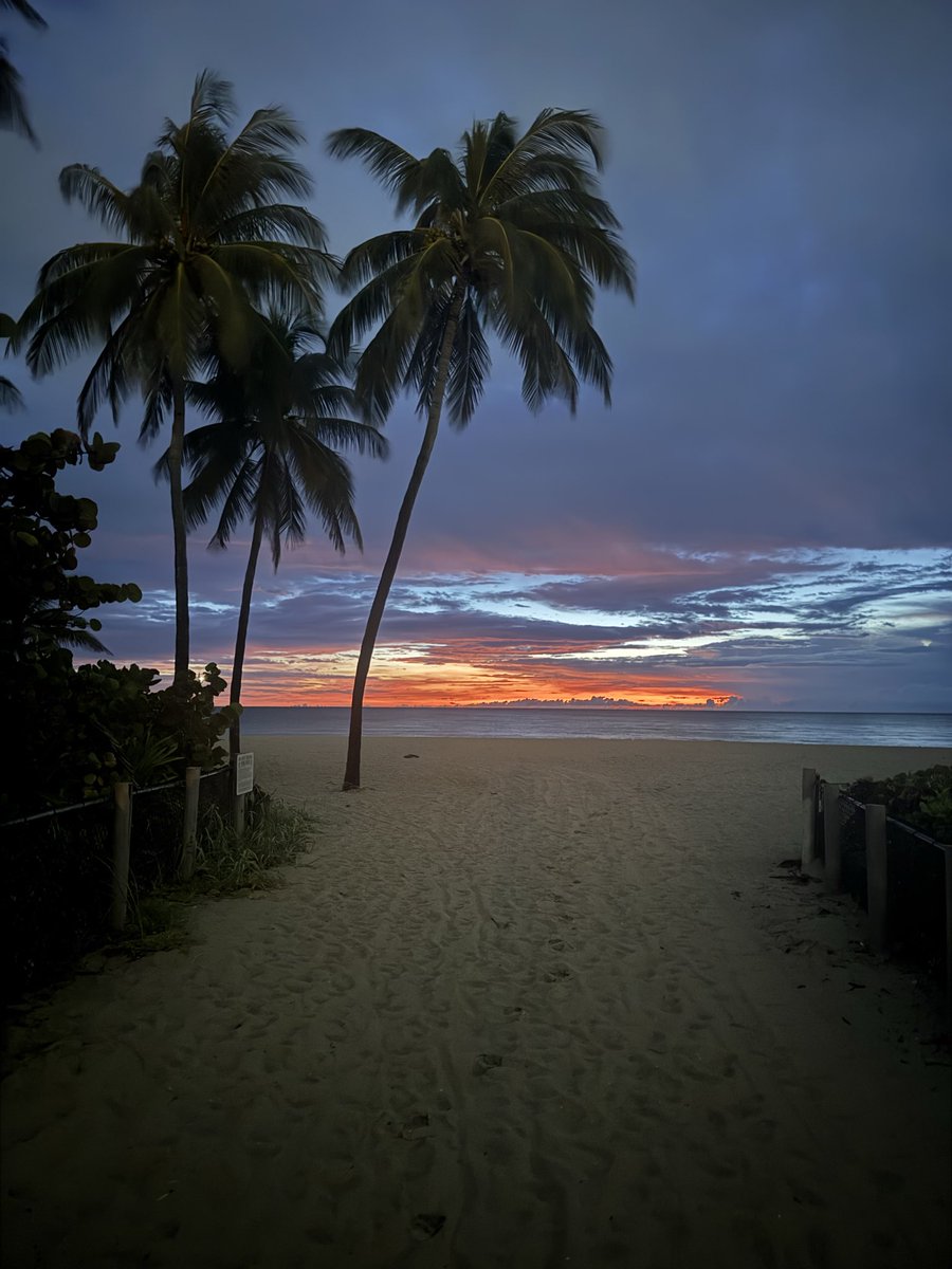 CoachT_CMU's tweet photo. The sun is up on another great week to recruit #Dade305 - can’t beat views like this & football in Paradise! #STUFB #Recruit2Win #WorkWins https://t.co/iod4HQl6eg