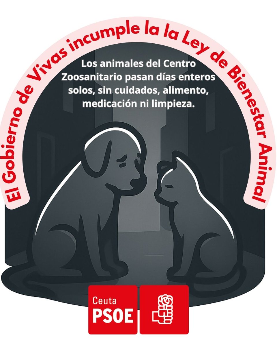 🚨 El Gobierno de Vivas incumple gravemente la Ley de Bienestar Animal.
🐾 Los animales del Centro Zoosanitario pasan fines de semana sin cuidados, sin comida, sin medicación y sin limpieza.
Exigimos un modelo integral que garantice su bienestar.
#Ceuta #BienestarAnimal
