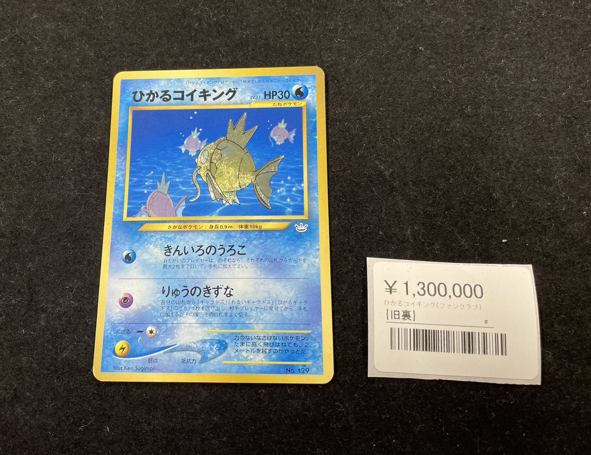 ✨【超希少 入荷】✨ 📣明日《12月09日》販売スタート‼️📣 ひかる