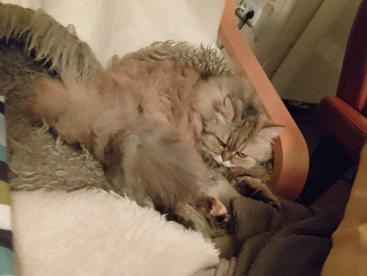 vhack0's tweet image. It's Moin Moin Monday my dudes!!!
I hope you all have a great start into the week and good luck fighting through the pre-Christmas times