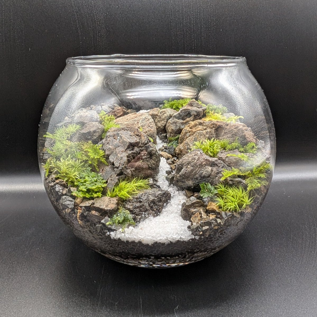MimimiWith's tweet photo. #feeltheGarden さんの苔テラリウムパーティーに参加してきました。
#moss_connectgram さんのワークショップがとっても勉強になりました。石の組み方が難しくて脳がよじれました…

#Garage
#渋谷ヒカリエ
#渋谷スクランブルスクエア
#清澄庭園
#苔テラリウムパーティー
#苔テラリウム https://t.co/Upu80EHTDs