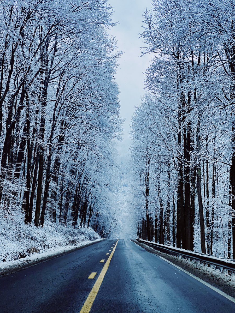 ALadyNamedKatie's tweet image. Good morning ❄️