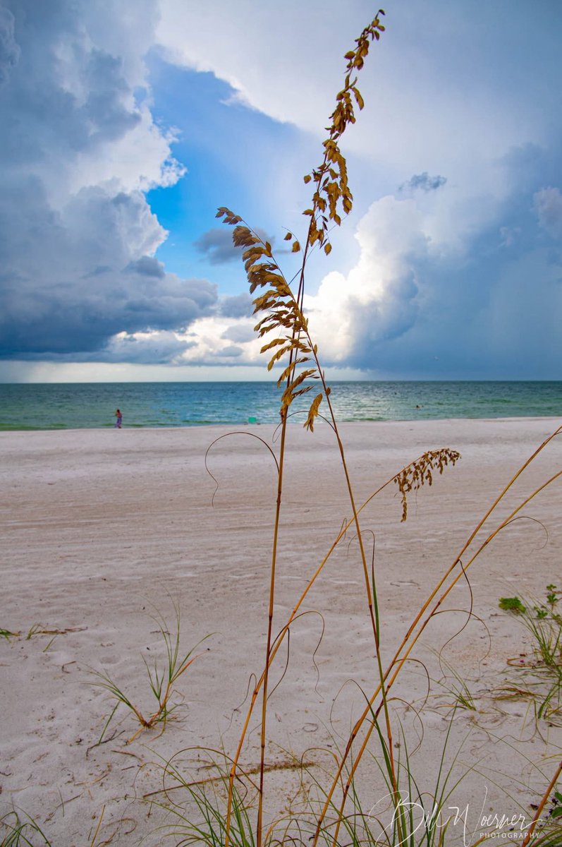 <a href="/RightPulseNewss/">Right Pulse News</a> Here is a photo of the Gulf of Mexico
