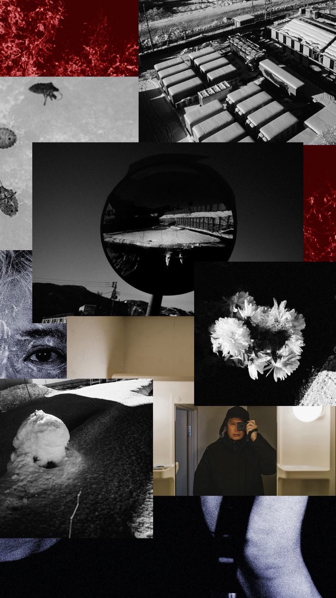 Kaii 大納德斯 tweet media