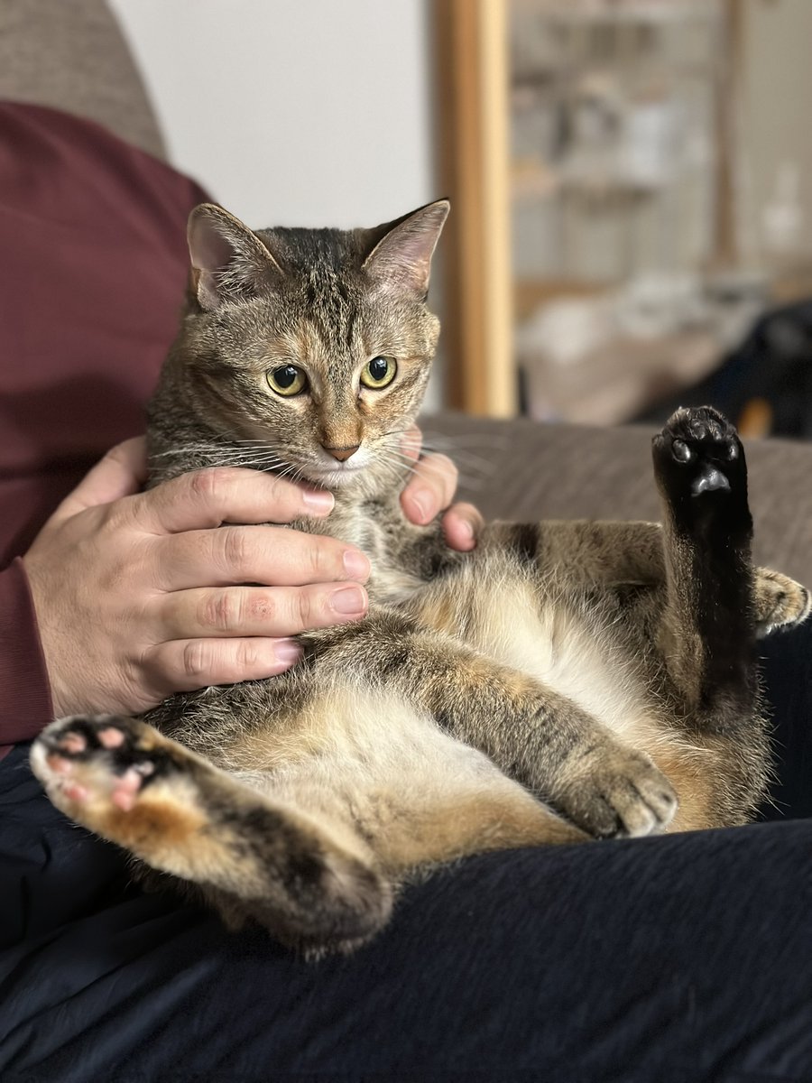 も～ (@mori2ta) / Posts / X