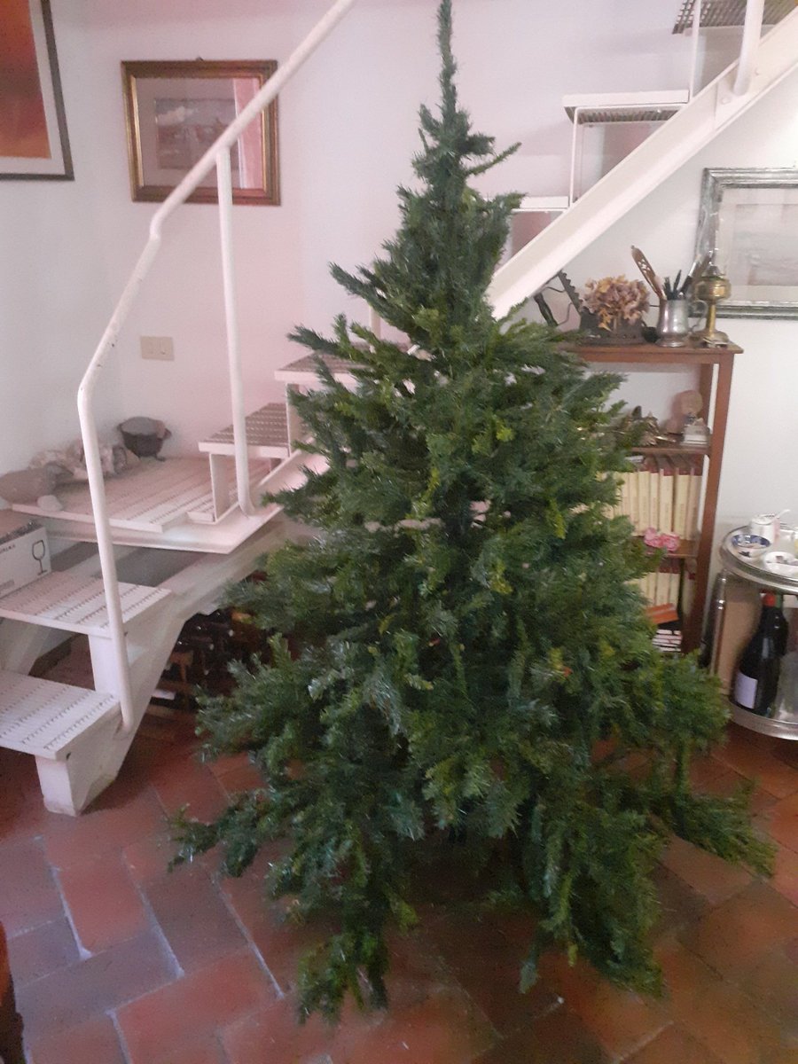 Ecco qua, montato l'albero. Made in China, comprato alla Metro, pagato 20.000 lire. No, non è un refuso e svolge egregiamente la sua funzione. Ora tocca mettere le luci e addobbarlo, ma questo non è  compito mio.