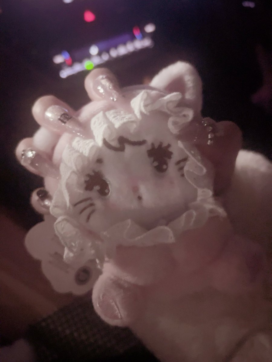 q_s2v's tweet photo. 最近ムースちゃんにハマってるかわいい^›⩊‹^♩ https://t.co/wftyOJtAdW