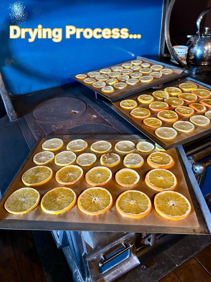 MyVintageFarm's tweet photo. Drying citrus the old-fashioned way for Vintage Farm Life Simmer Packs
🍊🍋
https://t.co/bfaSLOEMNn
🍊🍋
https://t.co/rjDcOyusA2 #orange #lemon #potpourri #scentsimmer #simmerpot #1blog #vintagefarmlife #sherrywroyer #author #vernavizsla #vernavizslalearnsvintagevalues #kidsbooks https://t.co/pXadqnDK2B