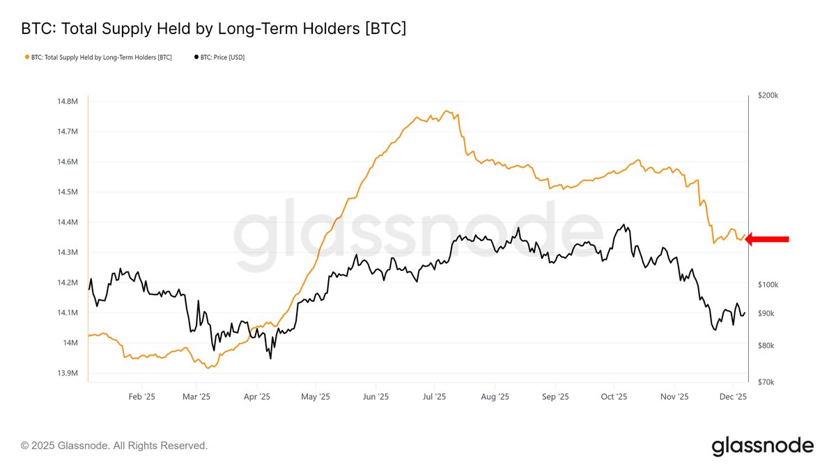 🚨Bureau : "Detentori a lungo termine di Bitcoin scendono a 14,33 milioni di BTC, ma il prezzo risale verso i 90.000 dollari"