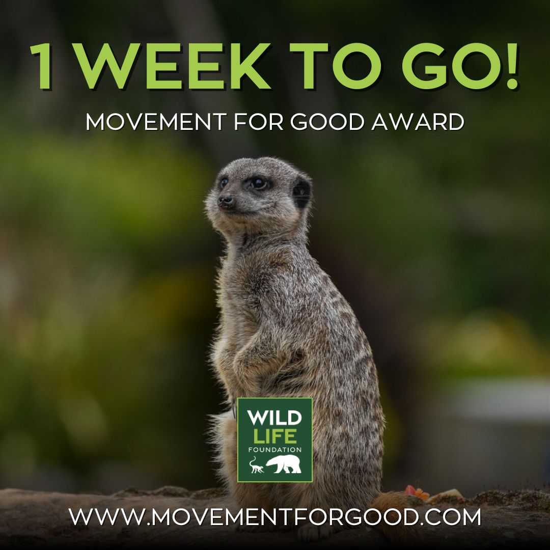 WildLife Foundation tweet media