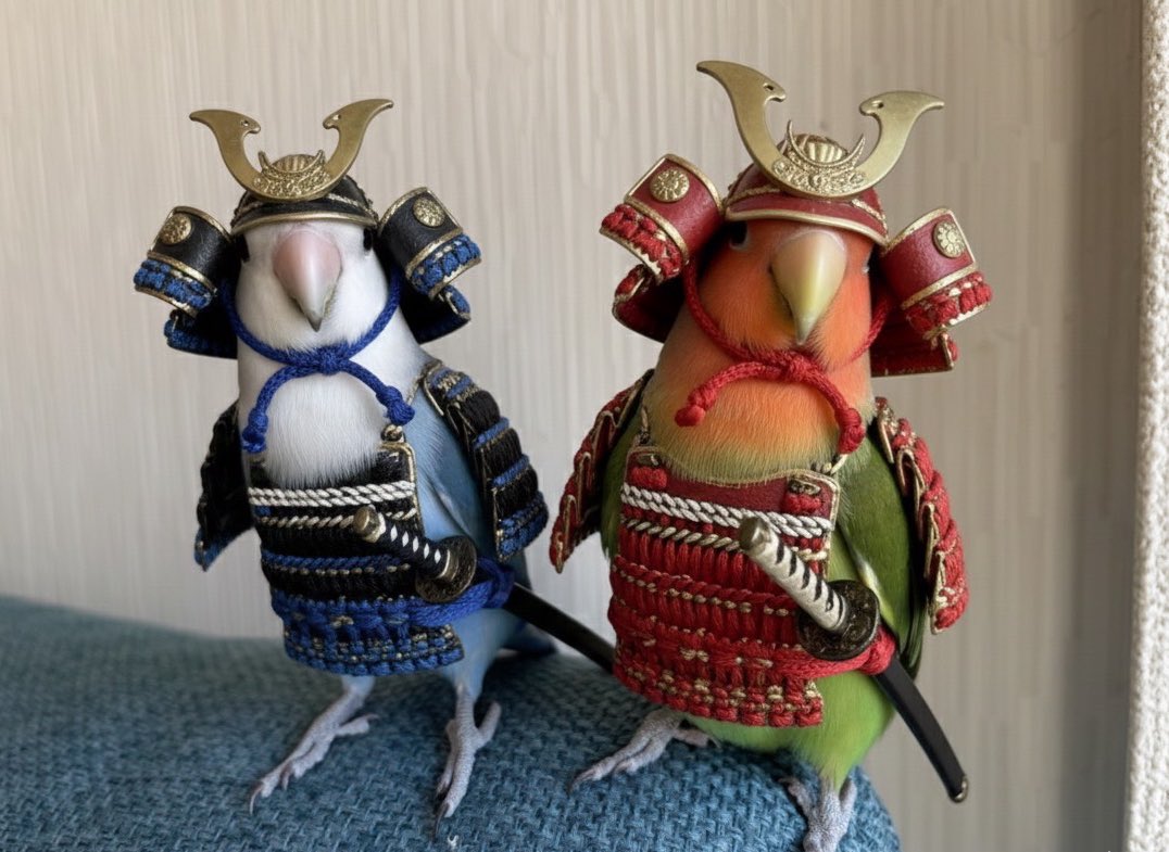 ナツメ (@Hc5Mia) / Posts / X