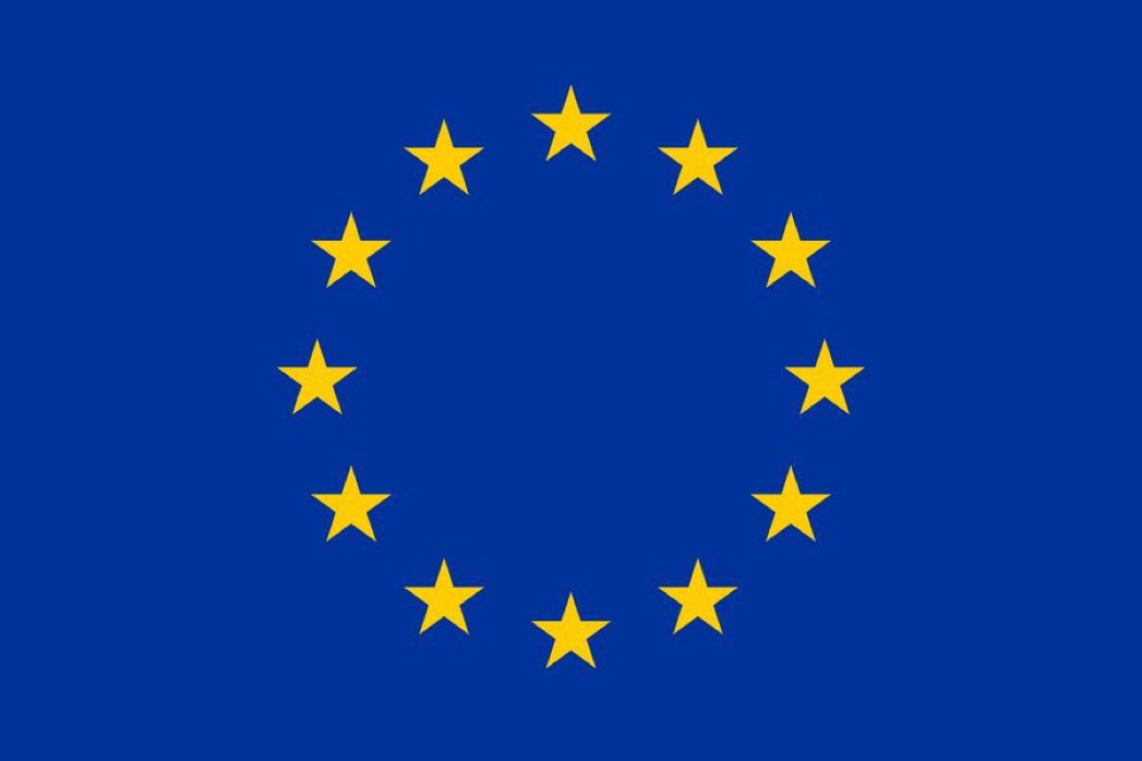 Our flag - our future 🇪🇺

And by the way: 
F*ck you <a href="/elonmusk/">Elon Musk</a>  - you dirty narcissistic homophobe.