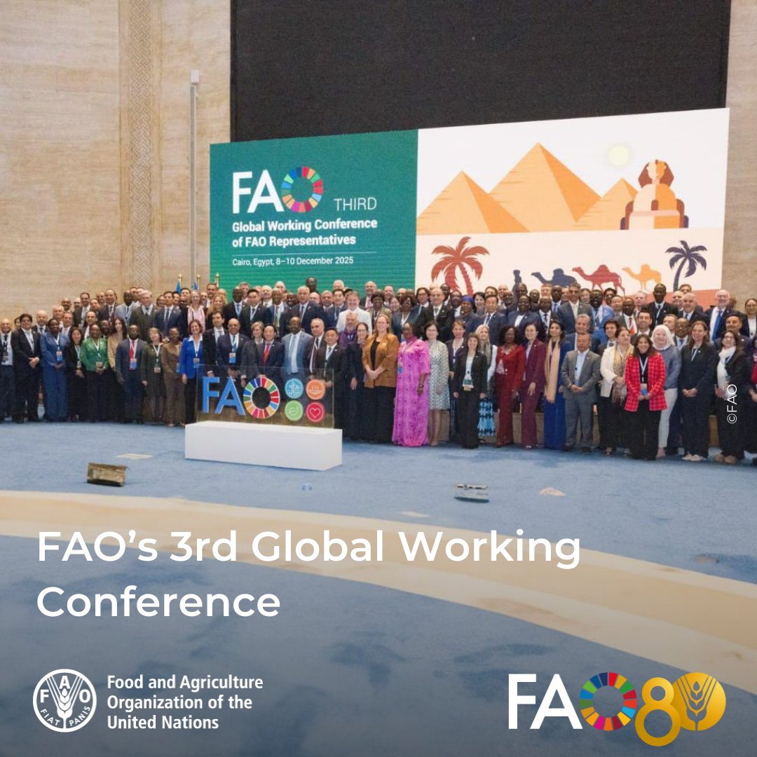 FAO in Near East and North Africa tweet media