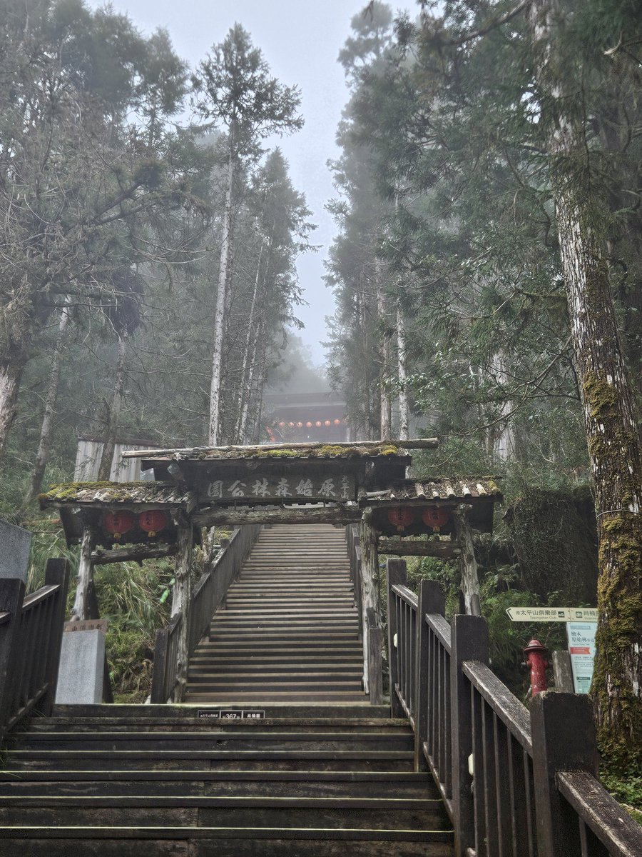 最右邊是相機原始圖
我用手機調色
Gemini修圖加上logo
Gemini的生圖真的是猛猛的