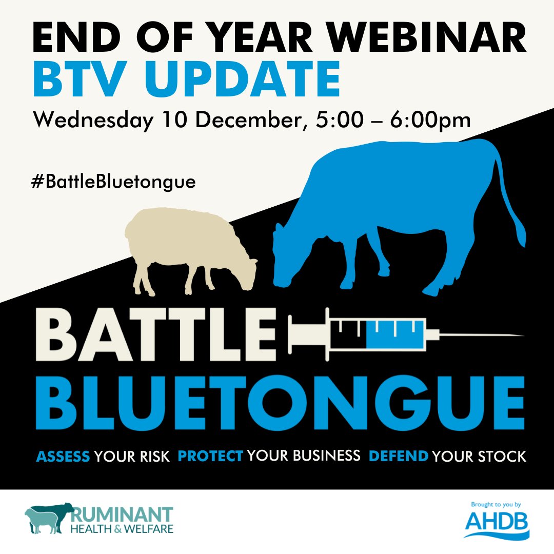 Sheila Voas tweet media