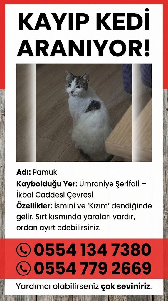 cetindilsiz's tweet photo. @bellavesimba https://t.co/b3BjhKaSCT