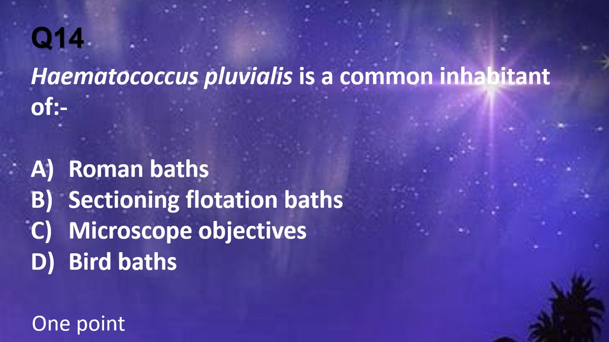 Quekett Microscopy tweet media