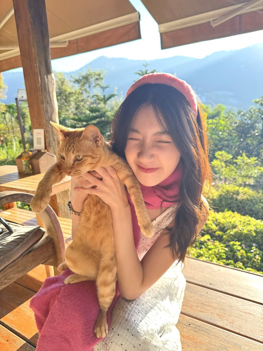 chamcham101048's tweet photo. มีแงวกี่ตุววว~🐱 https://t.co/ExrL2kuMwj