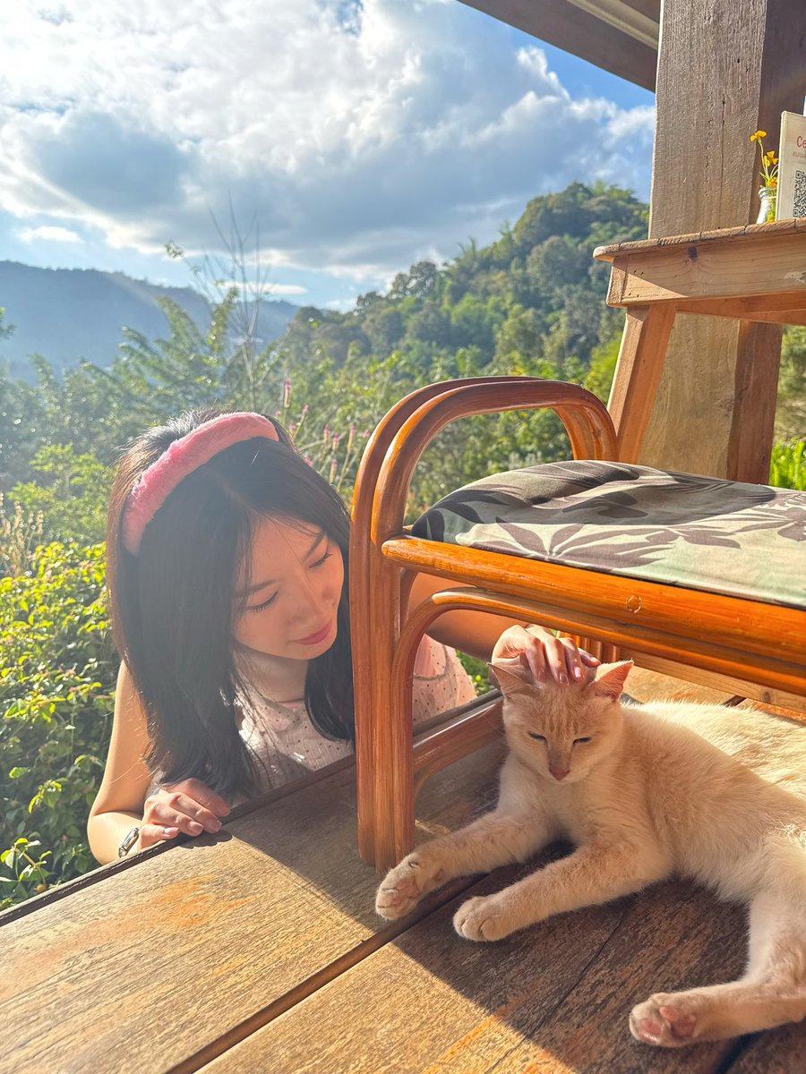 chamcham101048's tweet photo. มีแงวกี่ตุววว~🐱 https://t.co/ExrL2kuMwj
