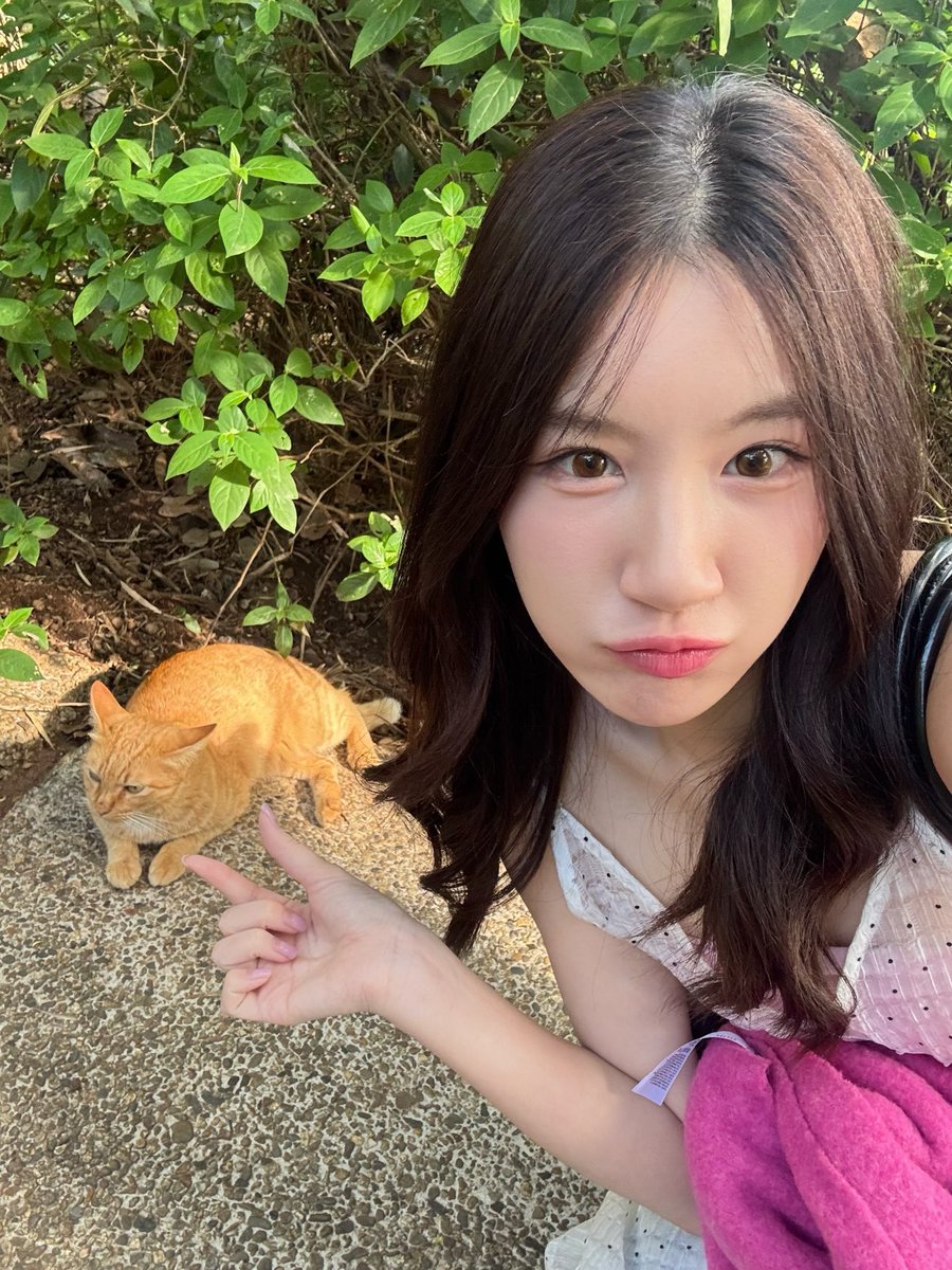 chamcham101048's tweet photo. มีแงวกี่ตุววว~🐱 https://t.co/ExrL2kuMwj