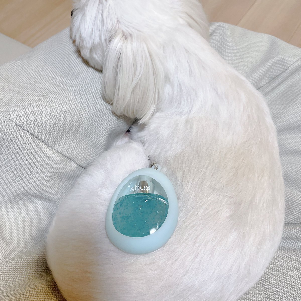 Garnet (@01Garnet02) / Posts / X