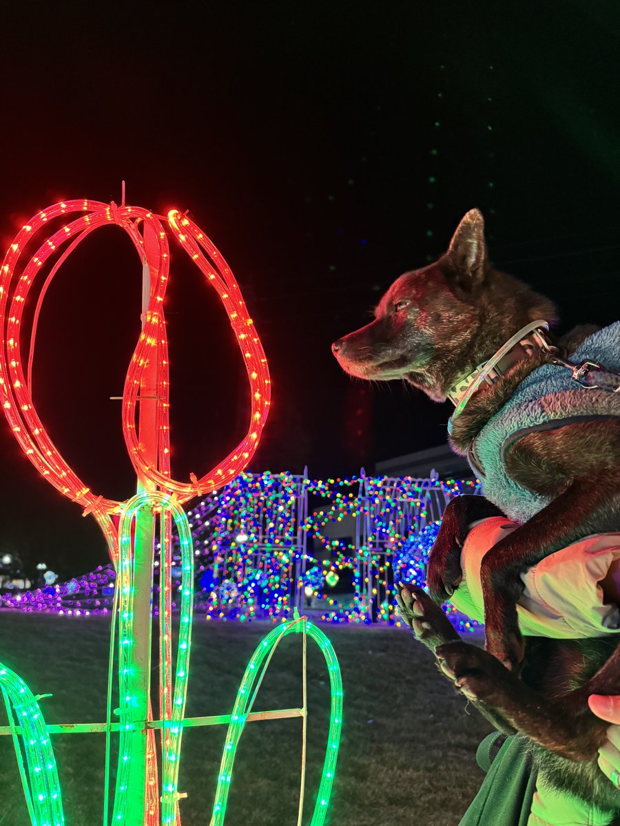 なぎ (@CFTnagi) / Posts / X