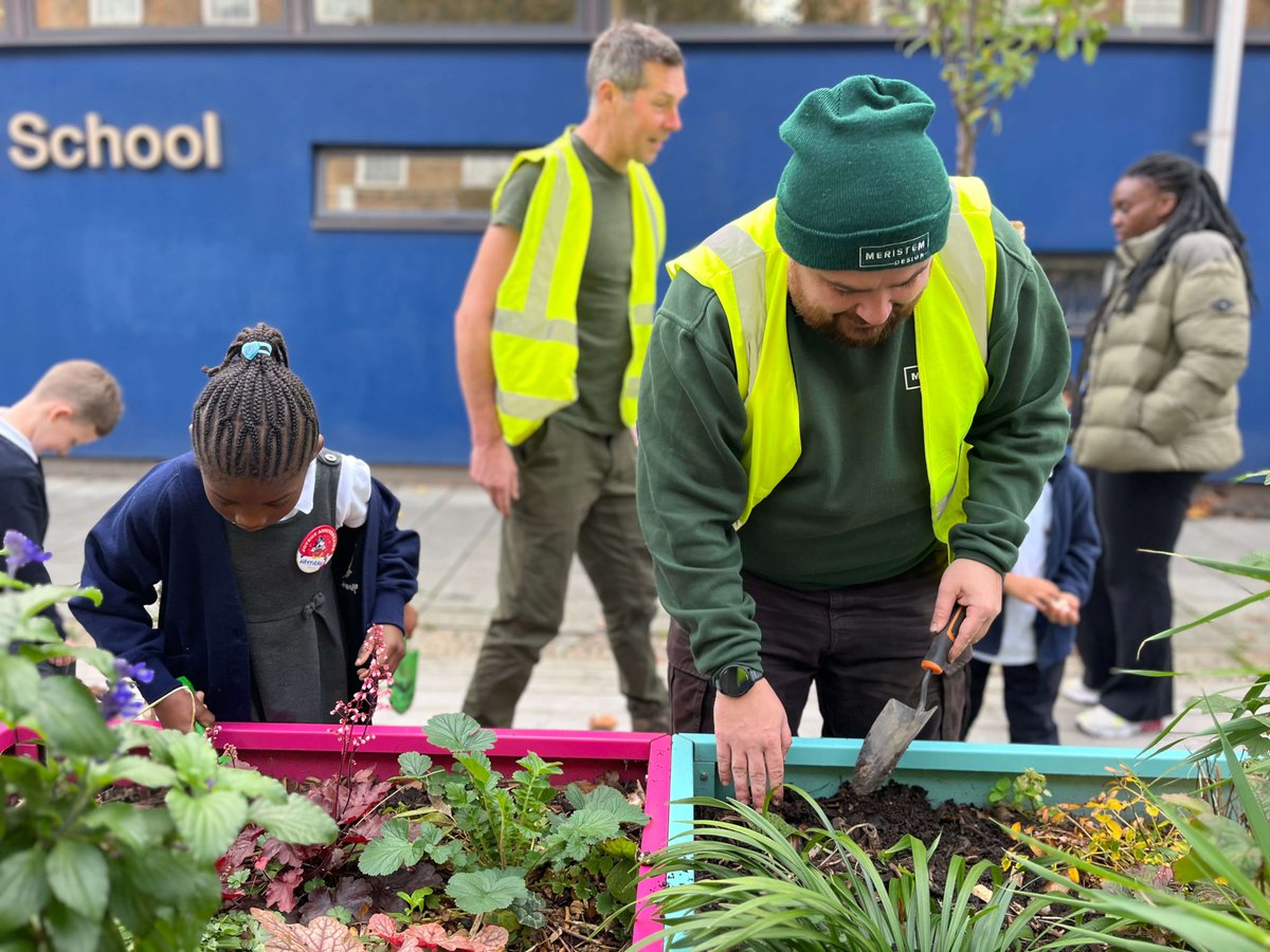 Meristem Design tweet media