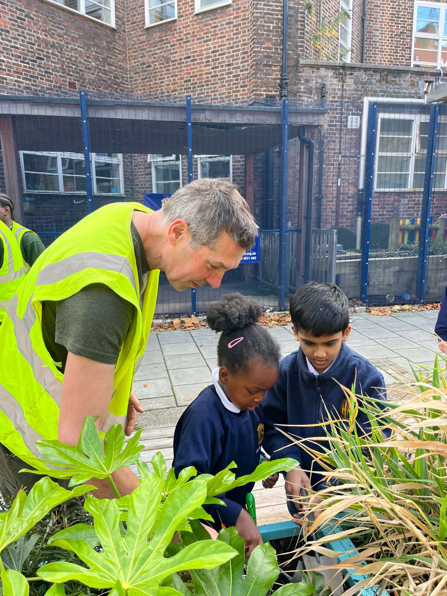 Meristem Design tweet media