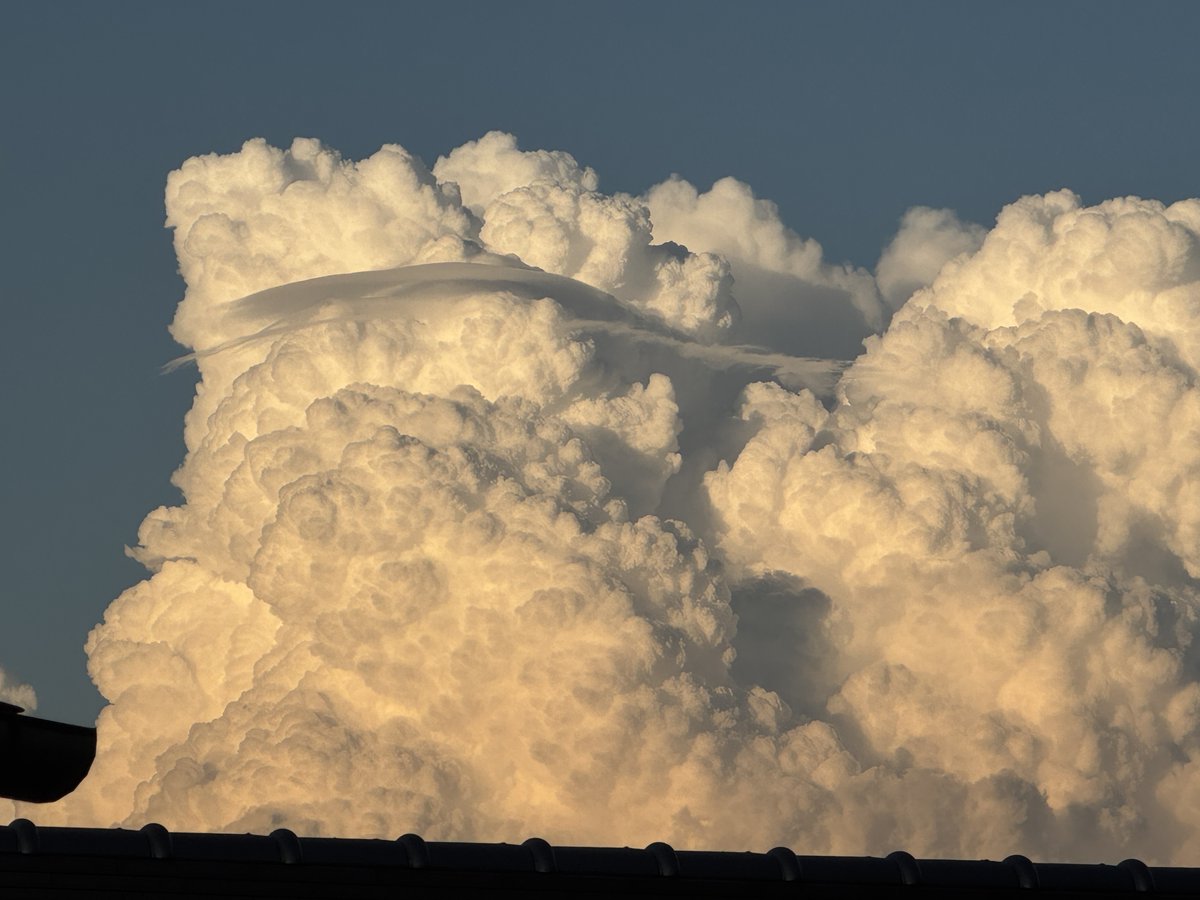 12日金曜まで臨時休業です。土曜は多分ご予約品の入荷が有りましょう、又のお越しをお待ちしております、又通販も同様です。