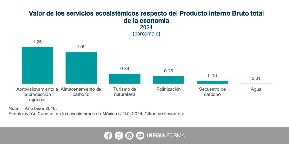 INEGI_INFORMA's tweet photo. En 2024, el valor económico de los servicios ecosistémicos ascendió a poco más de 1.02 billones de pesos, equivalentes a 3.05% del #PIB total de la economía.

Los servicios con mayor contribución fueron:
▪️1.25% aprovisionamiento a la producción agrícola
▪️1.09% almacenamiento de carbono
▪️0.34% turismo de naturaleza

El ecosistema con mayor extensión fue el matorral xerófilo no leñoso primario, que representó 16.9% de la extensión total del territorio.

Las Cuentas de los Ecosistemas de México (CEM) 2024 permiten medir los servicios y el valor económico que brindan los ecosistemas del país, al considerar sus características y funciones, y cómo les afectan las actividades económicas y humanas. 

📄 Consulta el comunicado de prensa: https://t.co/FxJ0k0gafN

📊 Explora el reporte de resultados: https://t.co/VGquo2xwLN